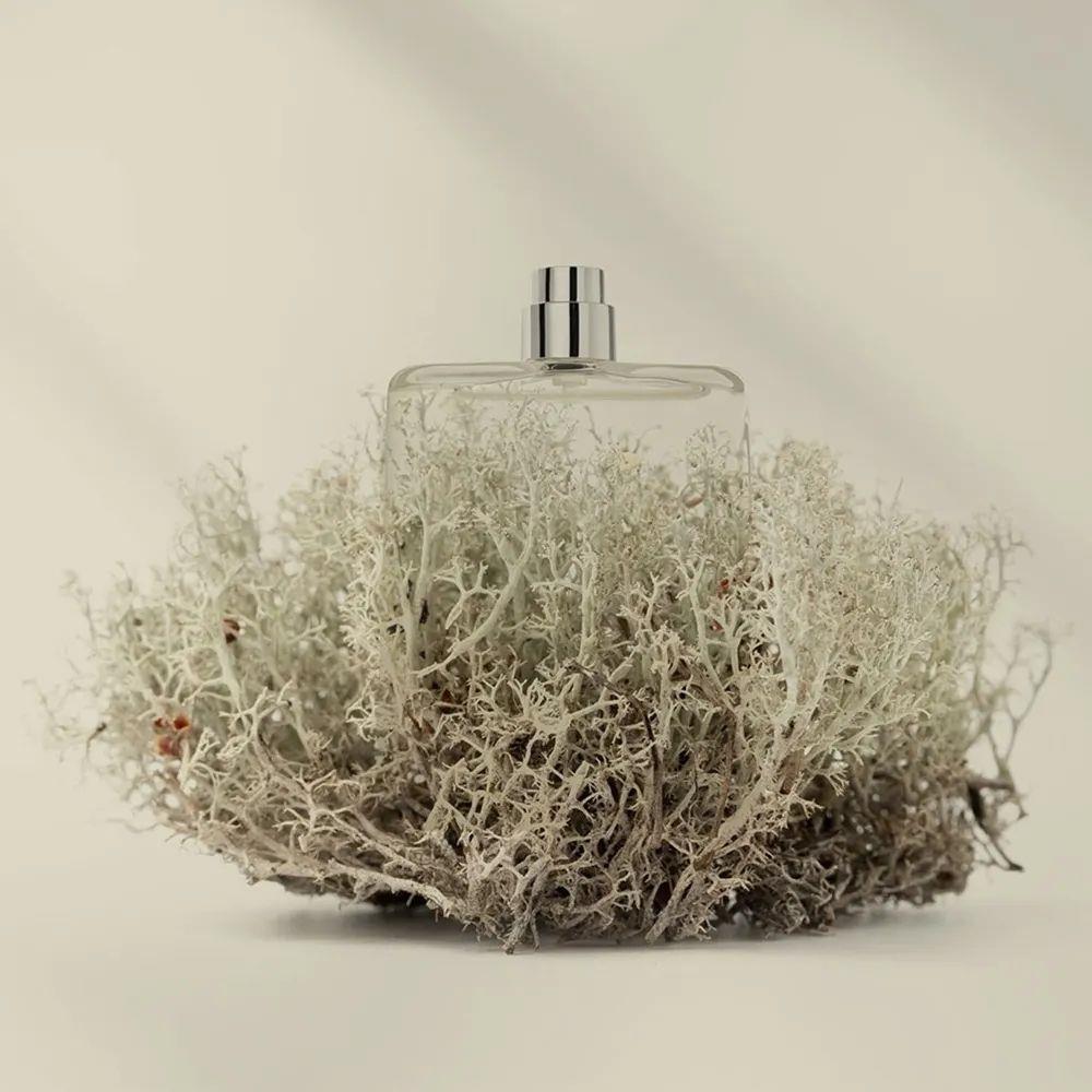 Costume National Paperplane EDP 100 ml Unisex Parfüm