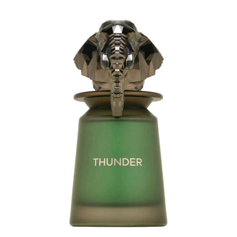 French Avenue Thunder EDP 100 ml Erkek Parfümü