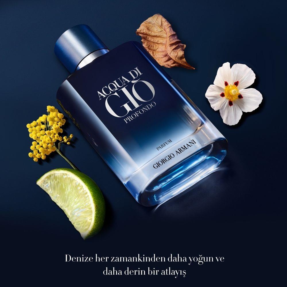 Giorgio Armani Acqua Di Gio Profondo Parfum 100 ml Erkek Parfümü