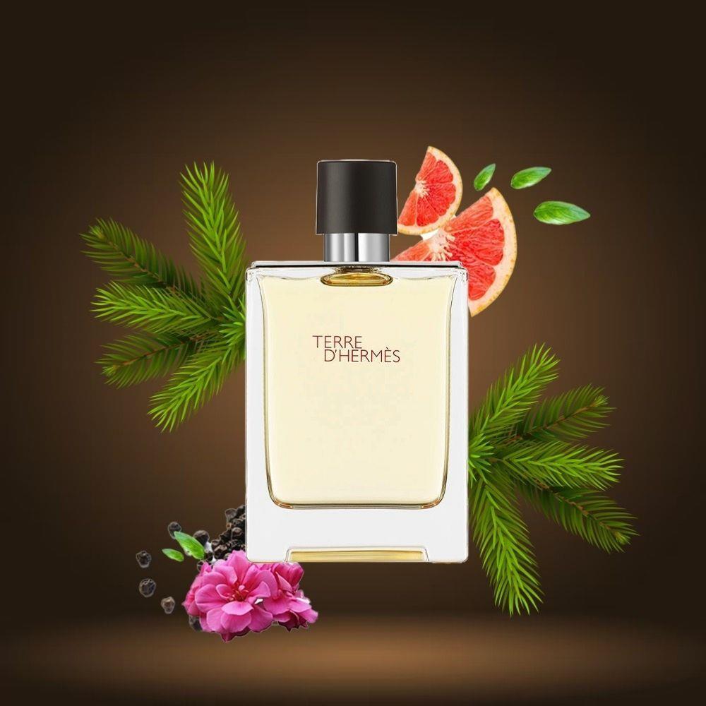 Hermes Terre D&