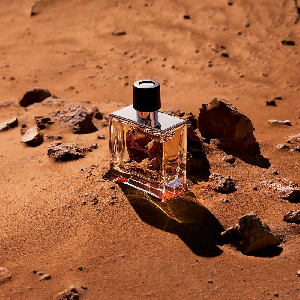 Hermes Terre D&