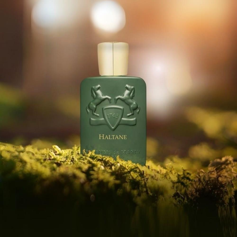 Parfums de Marly Haltane EDP 125 ml Erkek Parfümü