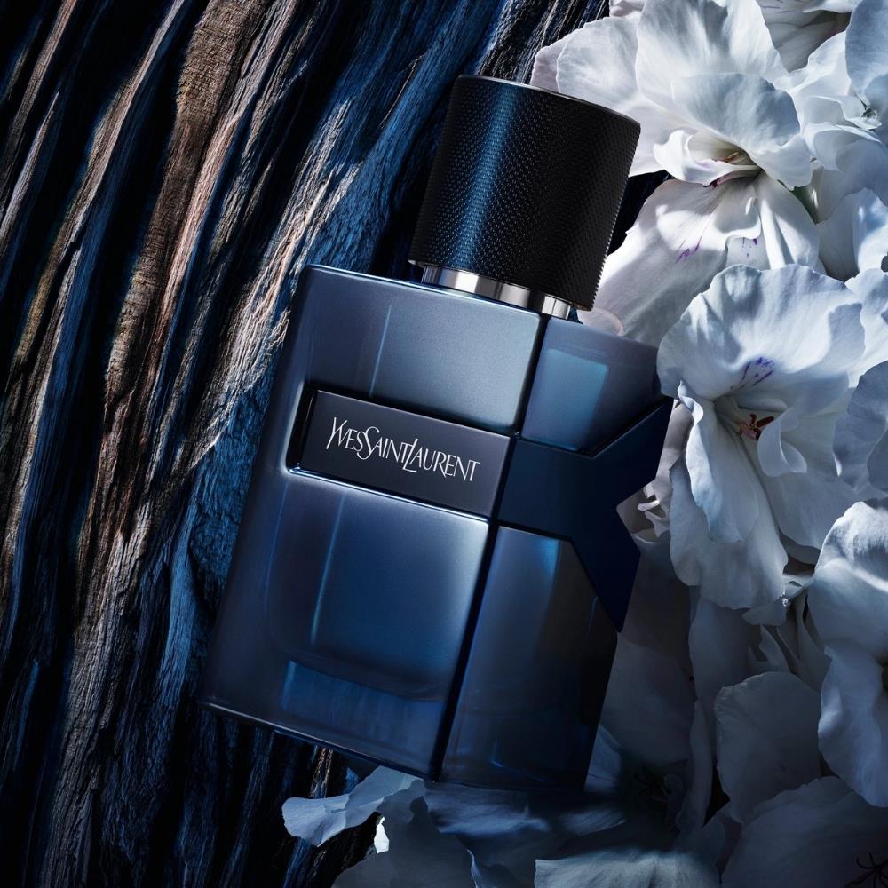 Yves Saint Laurent Y L&