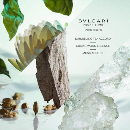 Bvlgari Pour Homme EDP 100 ml Erkek Parfümü