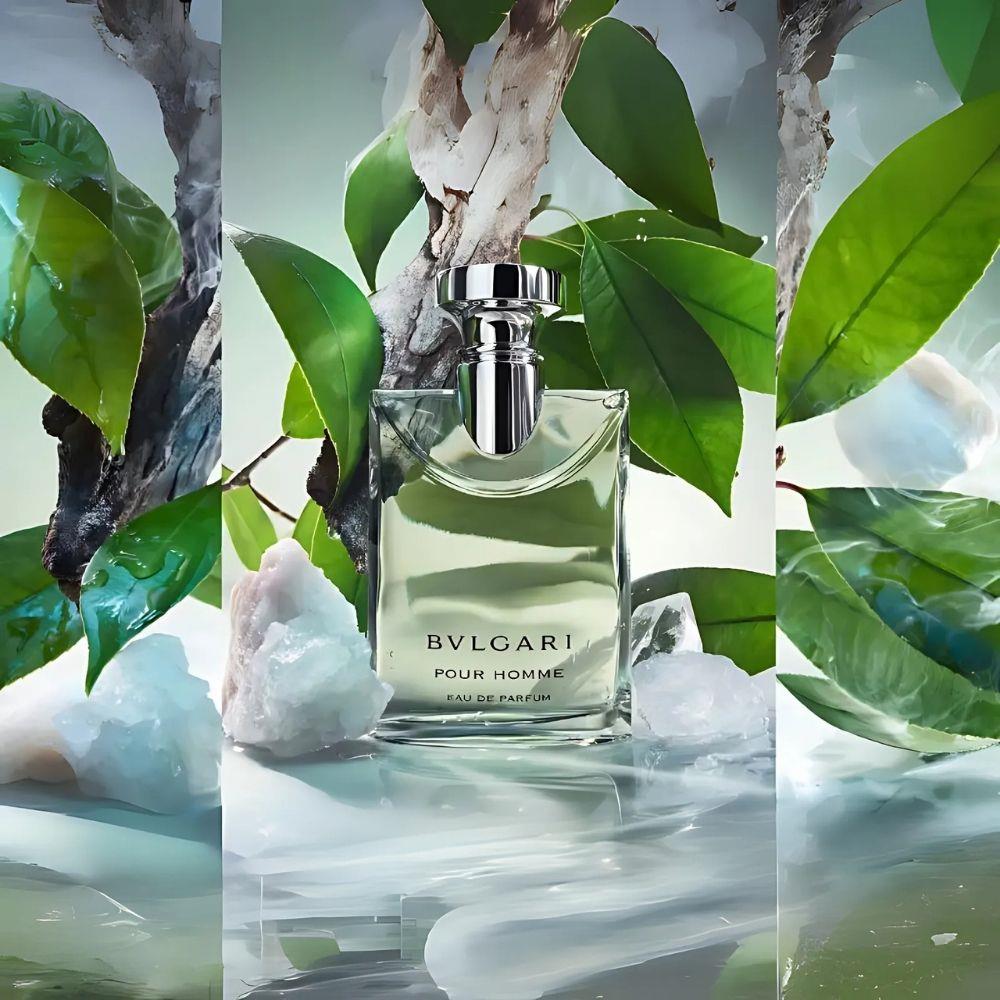 Bvlgari Pour Homme EDP 100 ml Erkek Parfümü