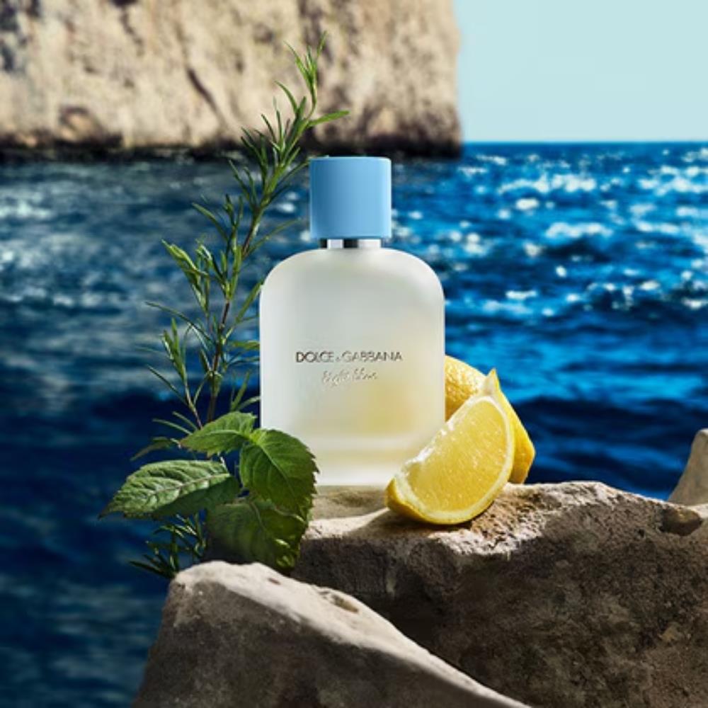 Dolce &amp; Gabbana Light Blue Pour Homme EDT 100 ml Erkek Parfümü