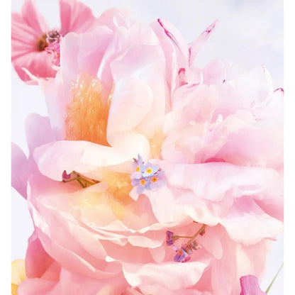 Dior Miss Dior Blooming Bouquet EDT 75 ml Kadın Parfümü