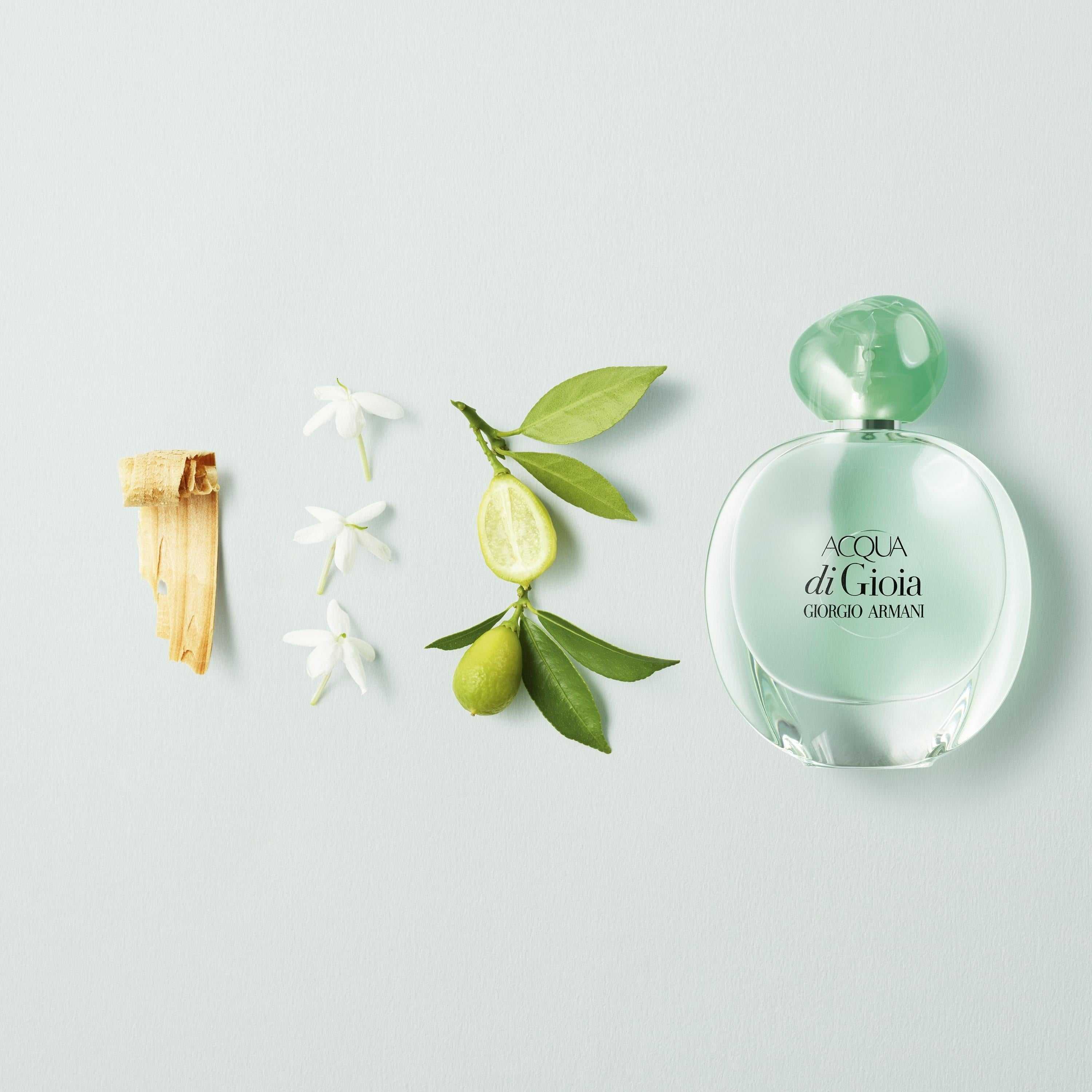 Giorgio Armani Acqua Di Gioia EDP 50 ml Kadın Parfümü