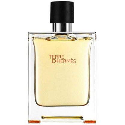 Hermes Terre D&