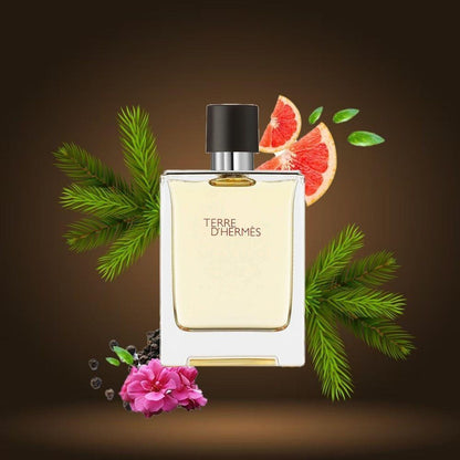 Hermes Terre D&