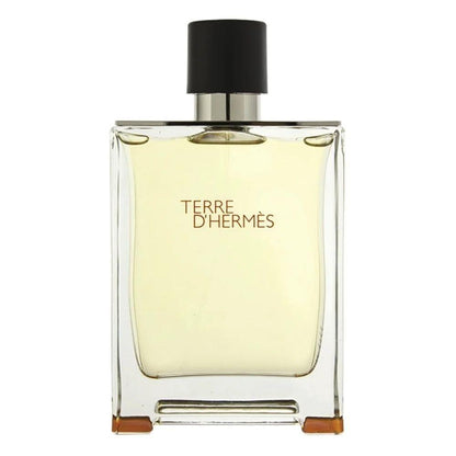 Hermes Terre D&