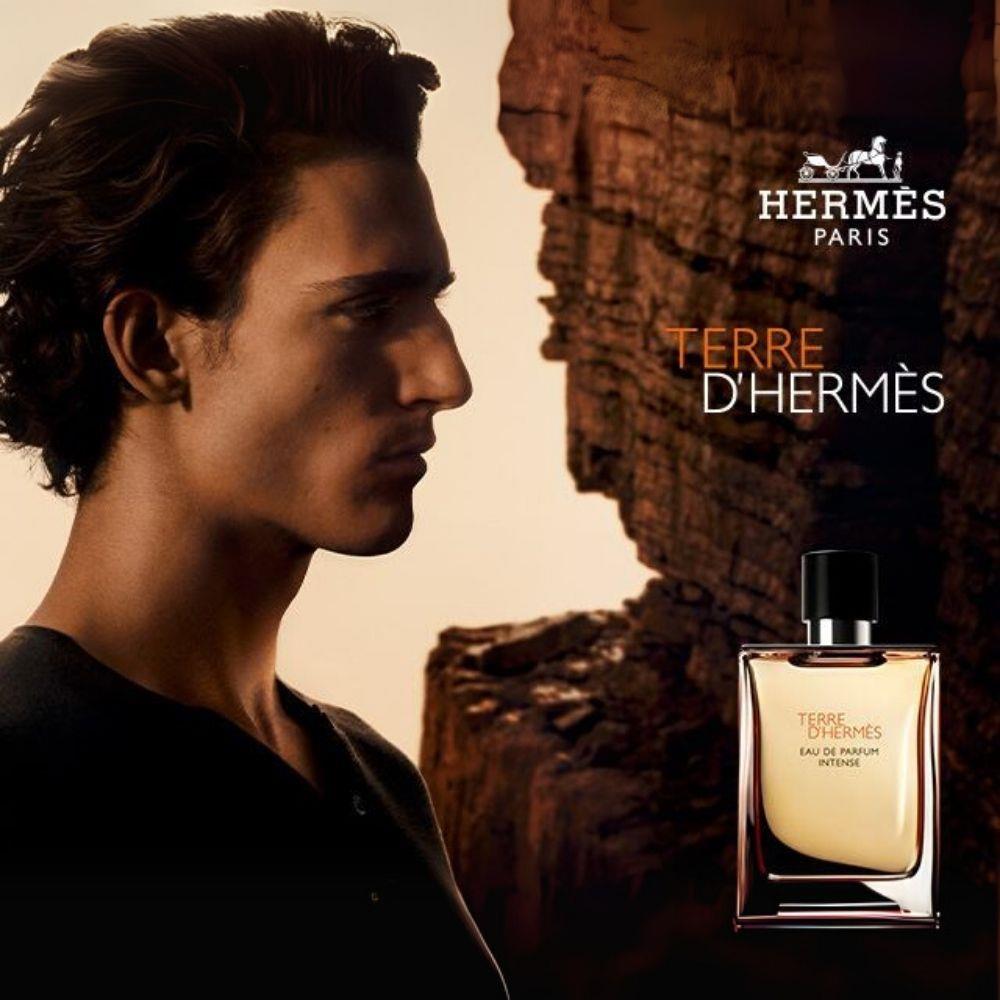 Hermes Terre D&
