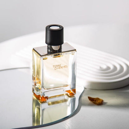 Hermes Terre D&