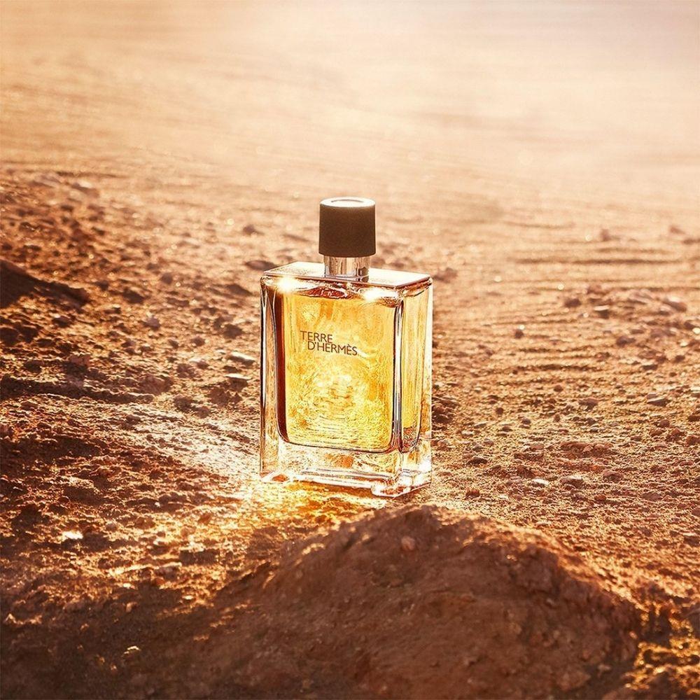 Hermes Terre D&