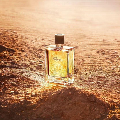 Hermes Terre D&