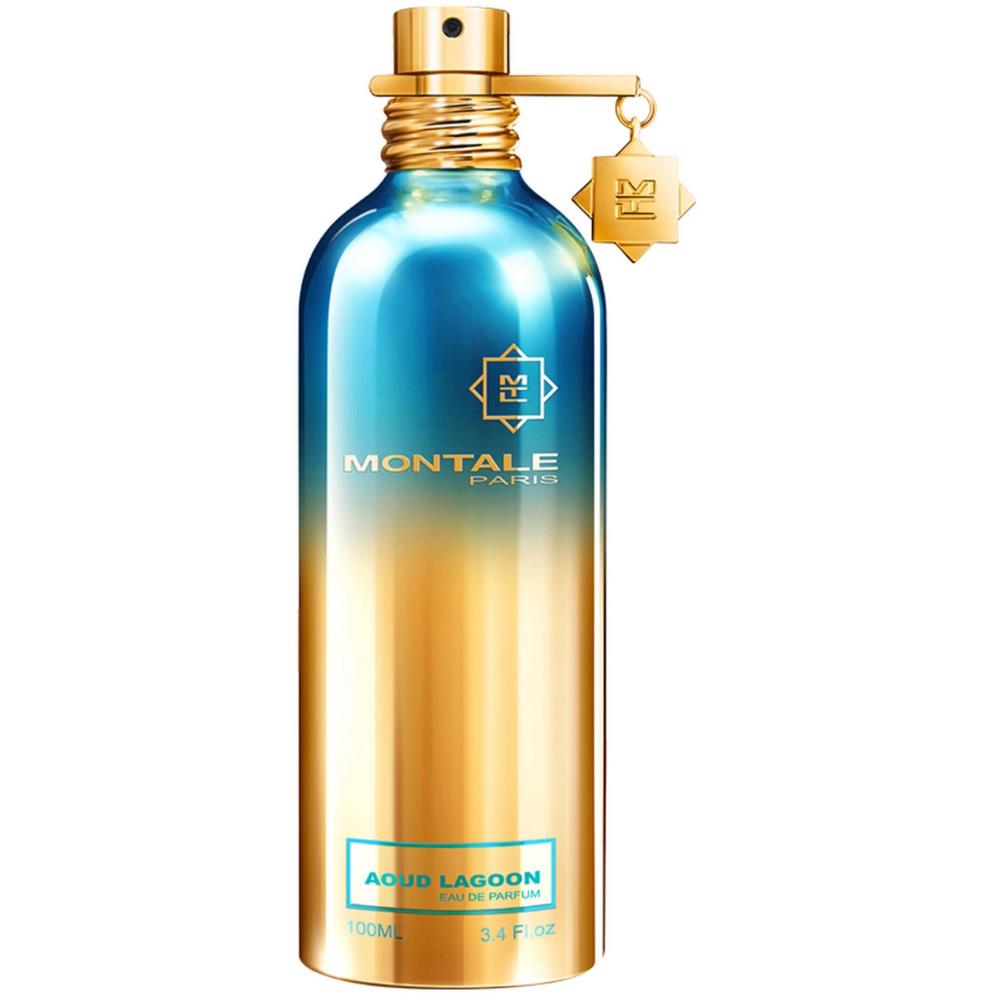 Montale Aoud Lagoon EDP 100 ml Unisex Parfüm