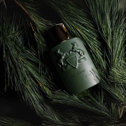 Parfums de Marly Haltane EDP 125 ml Erkek Parfümü