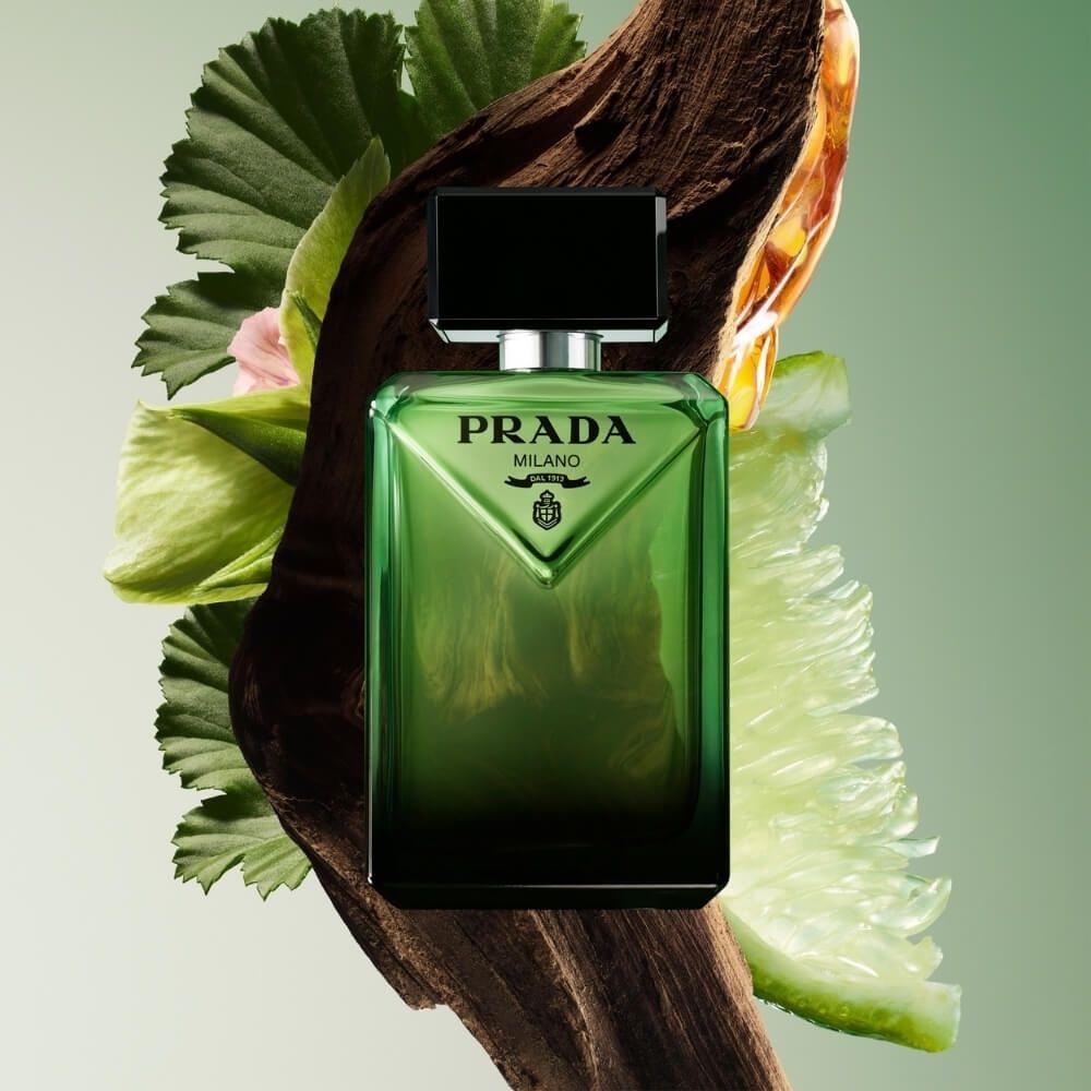 Prada Paradigme EDP 100 ml Erkek Parfümü